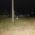 DSCN0182