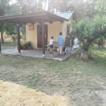 IMG20230704160601