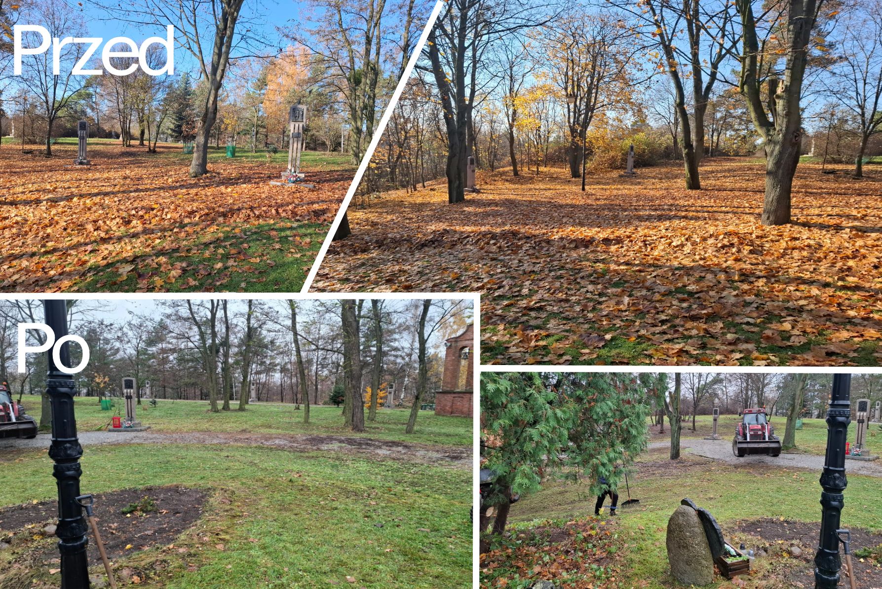 Read more about the article Jesienne porządki 2025