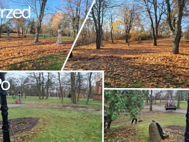 Jesienne porządki 2025